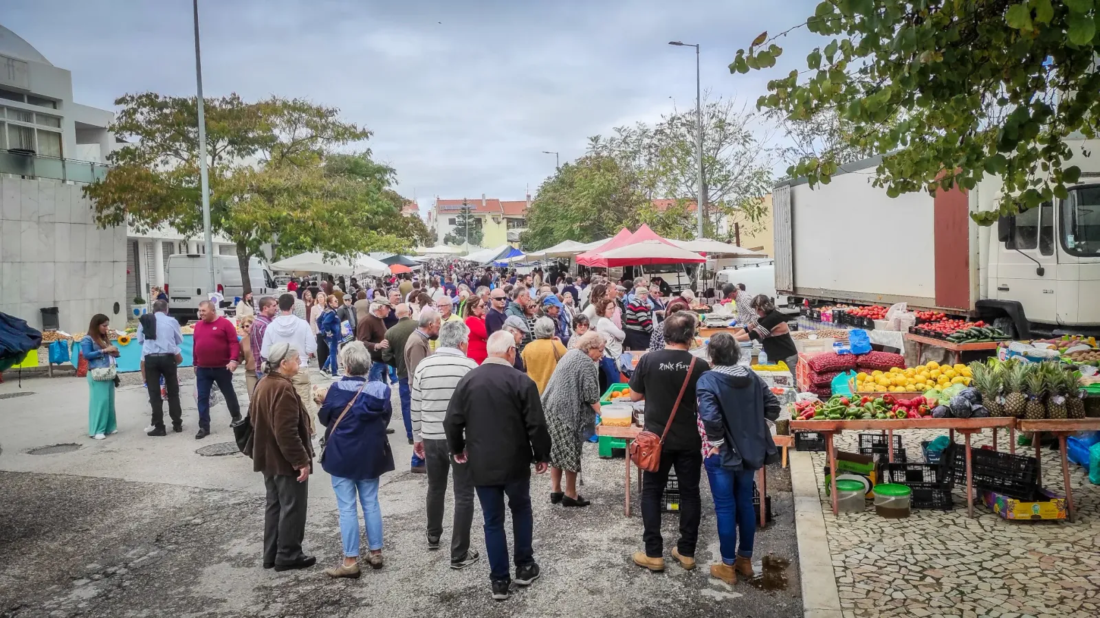 Câmara Municipal de Borba informa sobre a Feira dos Santos