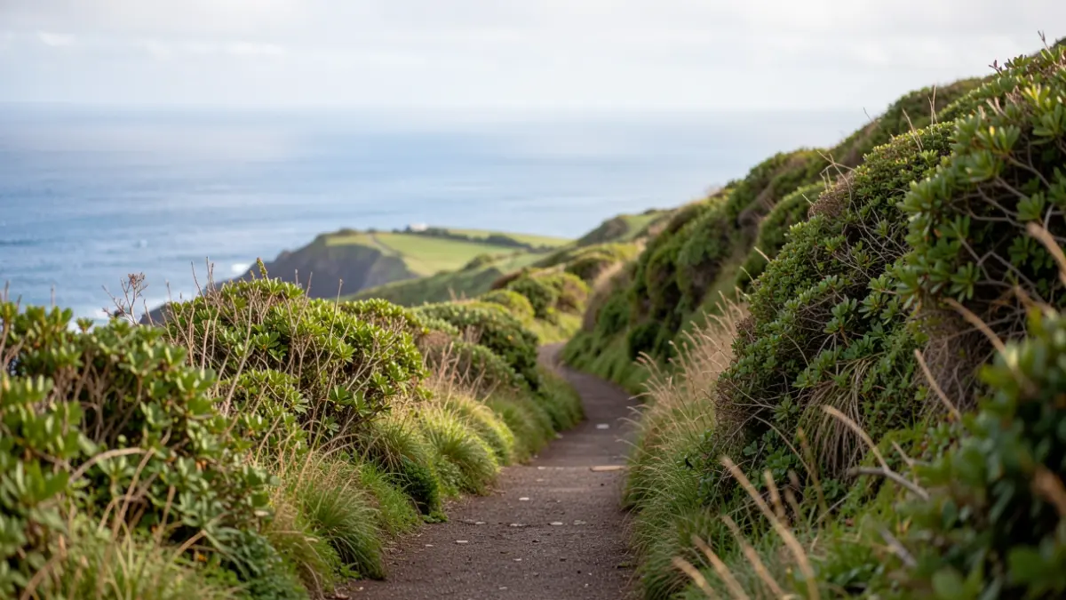 Imagen genérica de un sendero ecológico con vegetación verde y vistas al mar.