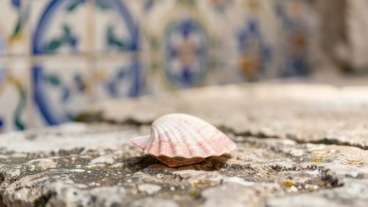 Imagem genérica de uma vieira de peregrino sobre pedra, com azulejos portugueses desfocados ao fundo.
