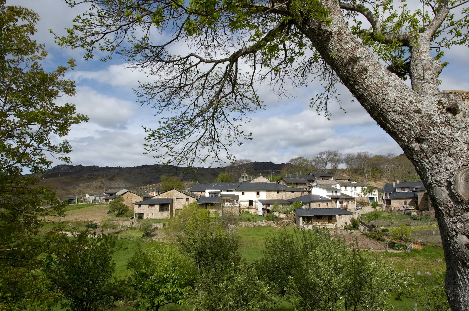 Projeto combate isolamento de 200 idosos em aldeias de Bragança